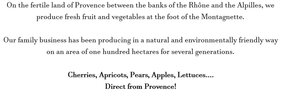 On the fertile land of Provence between the banks of the Rhône and the Alpilles, we produce fresh fruit and vegetables at the foot of the Montagnette. Our family business has been producing in a natural and environmentally friendly way on an area of one hundred hectares for several generations. Cherries, Apricots, Pears, Apples, Lettuces.... Direct from Provence!